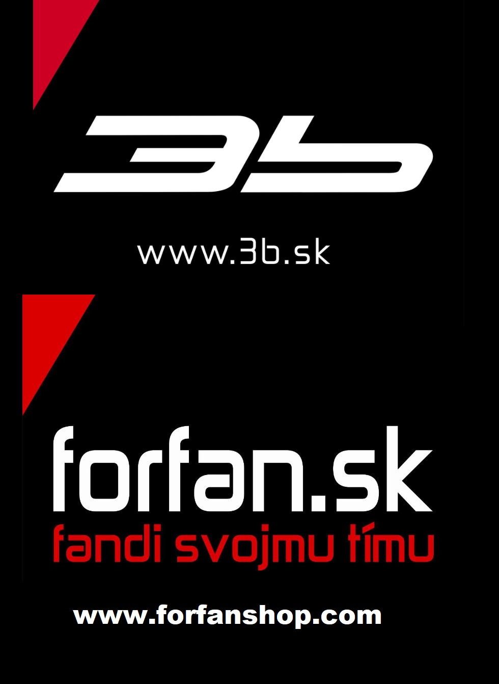 FORFAN 3b